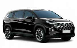 Hyundai Custin 