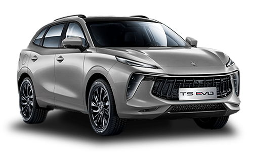 T5 EVO Серый цвет 2025-ого года купить в Новосибирске - azimuth-auto.ru