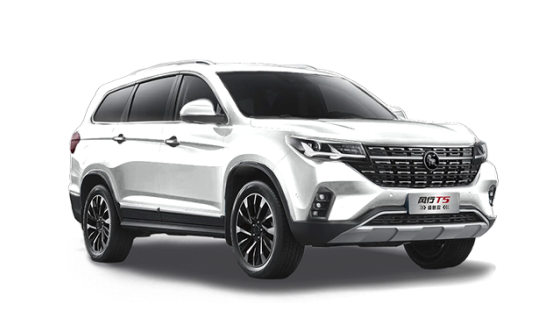 T5 Белый цвет 2025-ого года купить в Новосибирске - azimuth-auto.ru